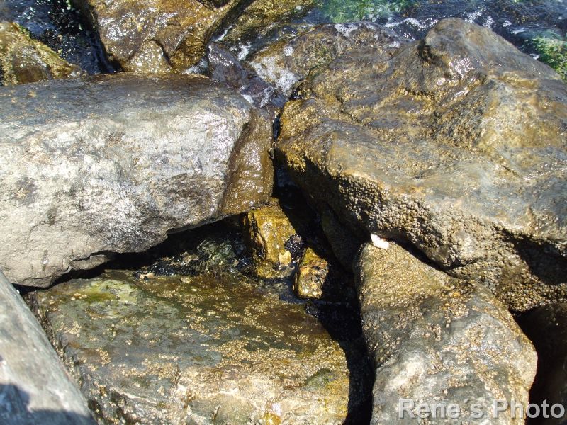 DSCF6254.JPG