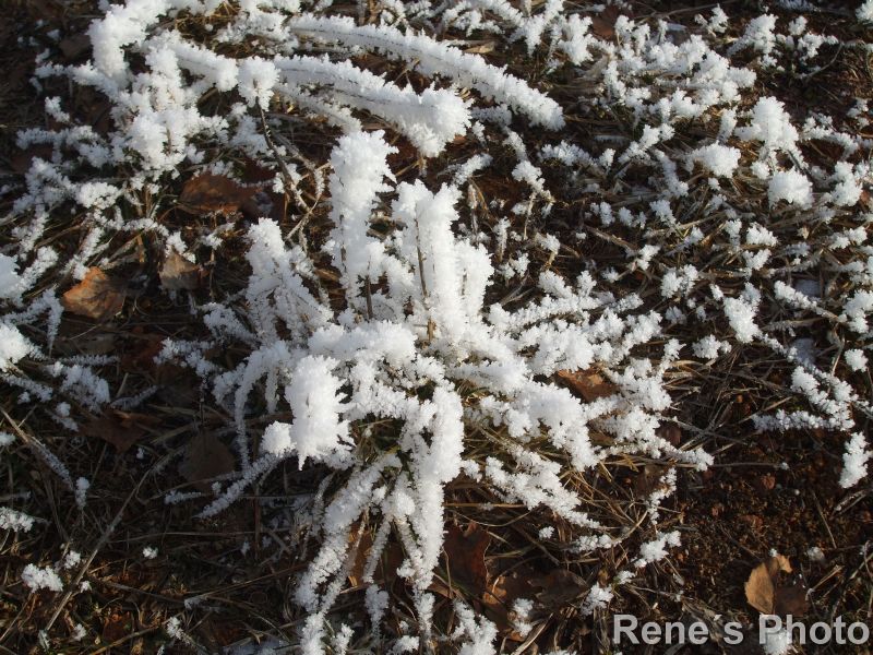 DSCF1660.JPG