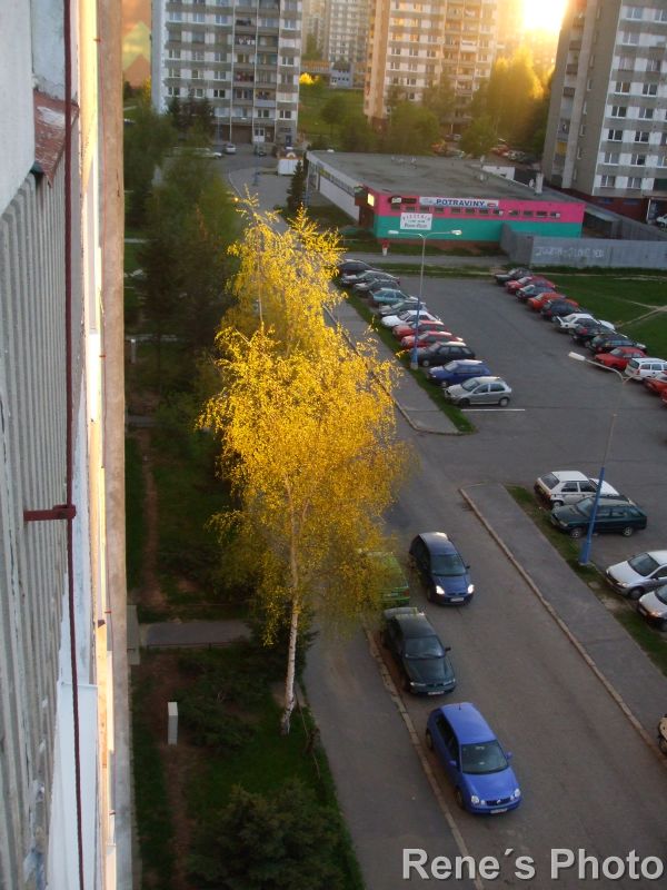 DSCF2621.JPG